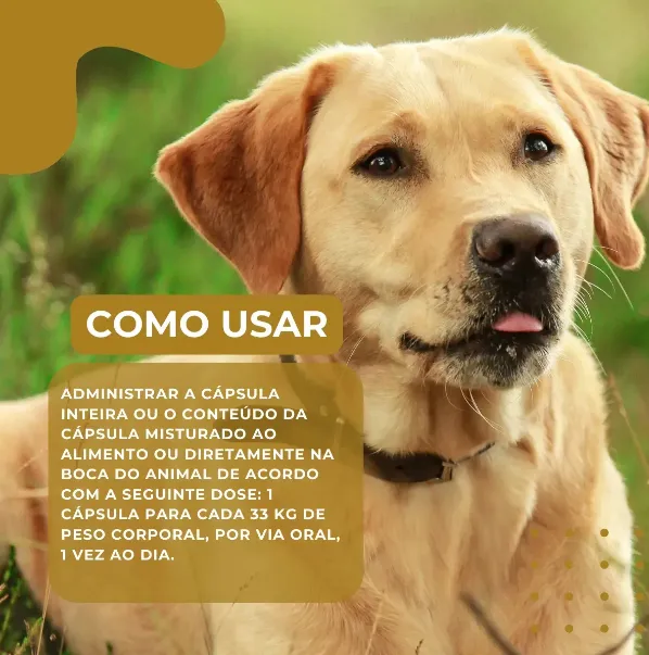 OGRAX-3 500 30 CÁPSULAS 21,9G - Imagem 3