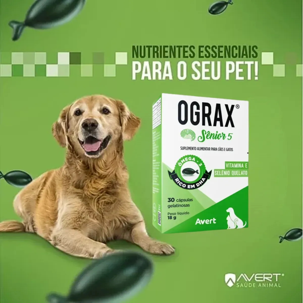 OGRAX SÊNIOR 5 - Imagem 2