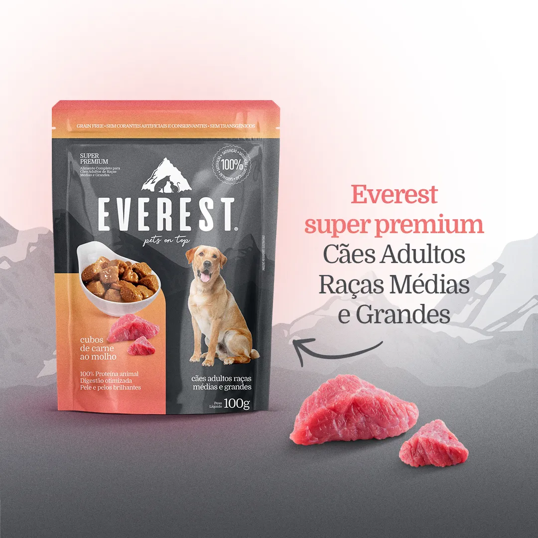 RAÇÃO ÚMIDA CÃES ADULTOS CARNE RAÇAS MÉDIAS E GRANDES 100G - Imagem 3