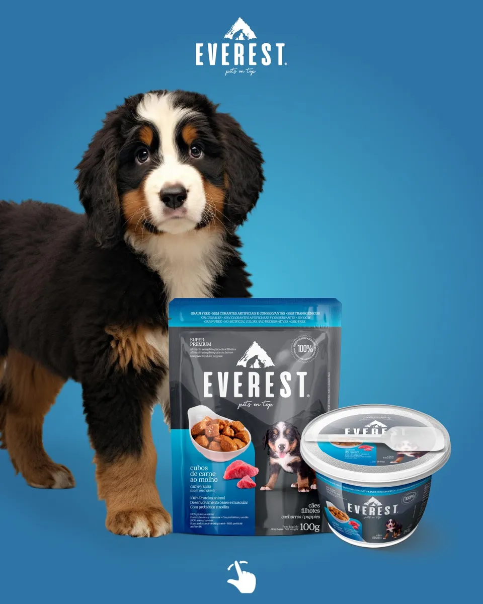 RAÇÃO ÚMIDA EVEREST CÃES FILHOTES CARNE 100G - Imagem 4