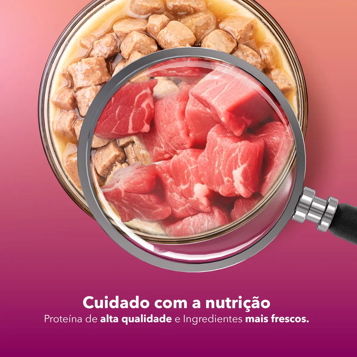 RAÇÃO ÚMIDA CÃES ADULTOS CARNE RAÇAS MÉDIAS E GRANDES 100G - Imagem 2