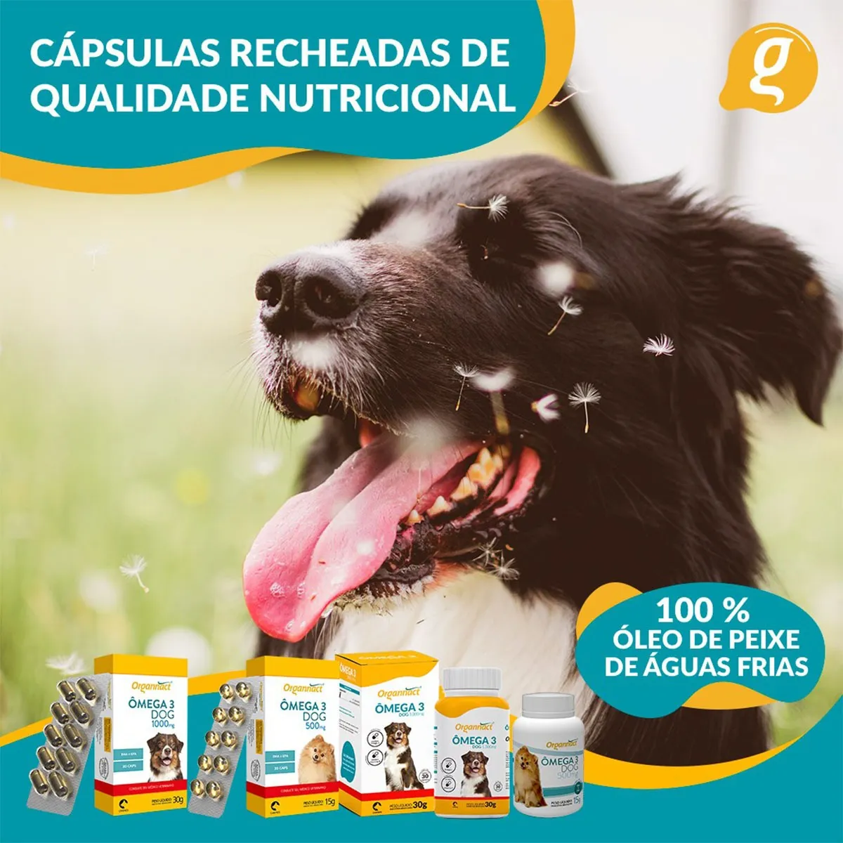 ÔMEGA 3 ORGANNACT DOG 1.000MG - Imagem 3